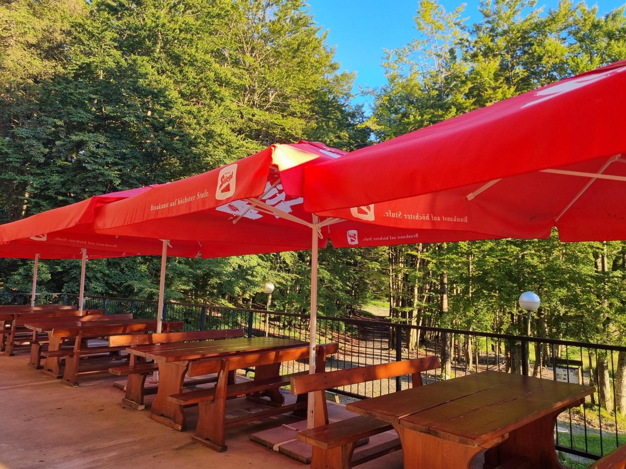 Great Mountain B&B Platak Exterior photo