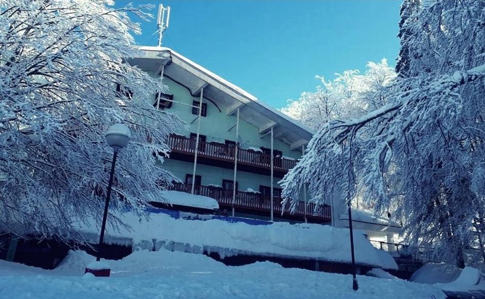 Great Mountain B&B Platak Exterior photo
